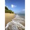 Golden Sand Beach Fringed By Palm Trees Poster Print By Chris Caldicott / Design Pics